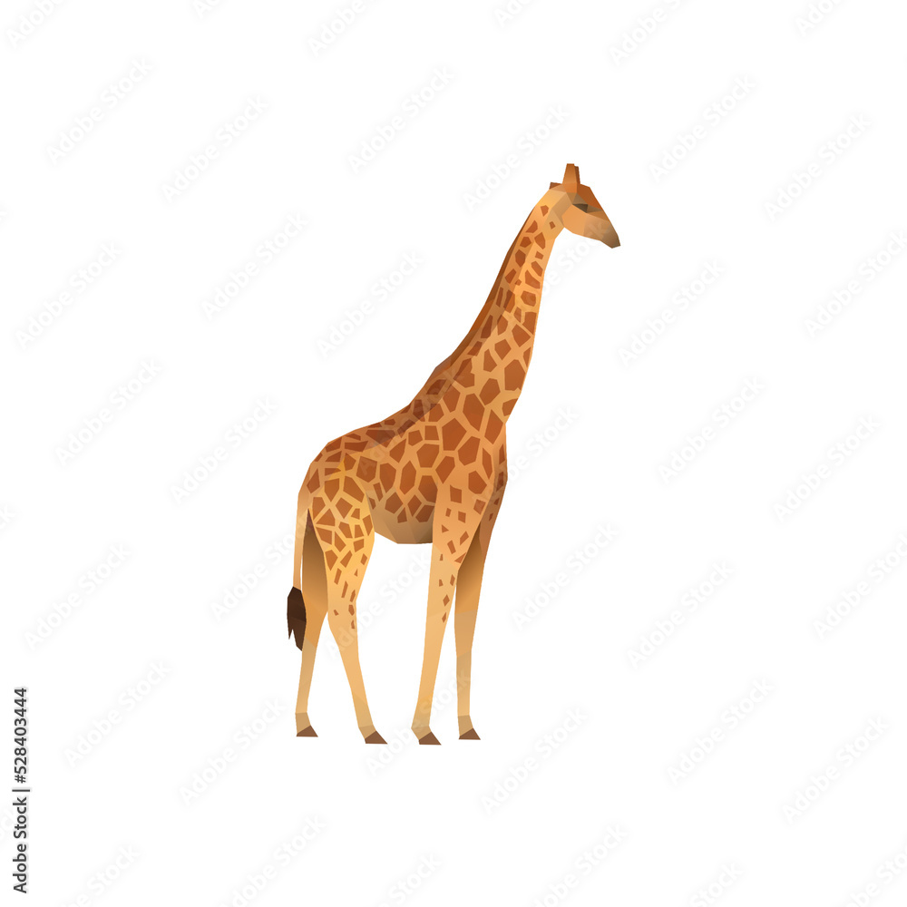 Naklejka premium giraffe isolated on white