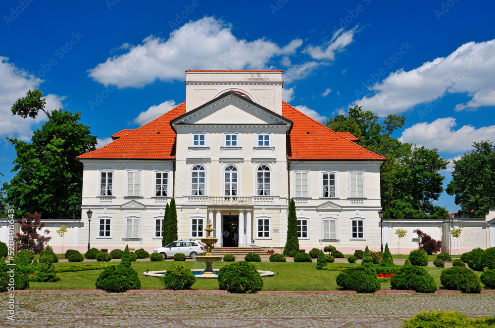 Ossolinski Palace in Sterdyn, Masovian Voivodeship, Poland Ossolinski Palace in Sterdyn, Masovian Voivodeship, Poland