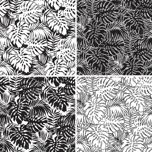 Monstera and palm tropical leaves wallpaper set of four black and white variants vector seamless pattern