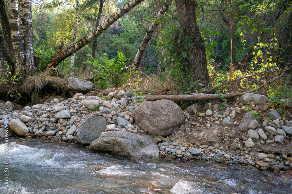 River, forest and stones landscape photo, nature River, forest and stones landscape photo, nature