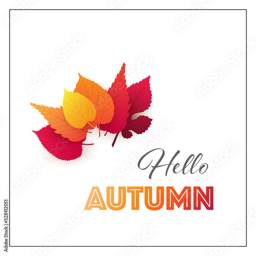 Colorful Hello Autumn Greeting Card Layout, Creative Design with Red and Golden Fallen Autumn Leaves - Multi Purpose Template, Typography for Web, Advertising, Brochures and Event Invitation