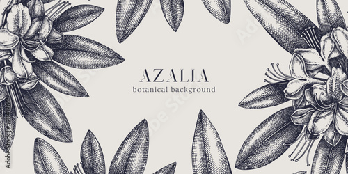 Floral background. Vector frame with hand drawn azalea sketches. Vintage design with rhododendron flowers and leaves. Evergreen plants botanical illustration for banner, postcards, web