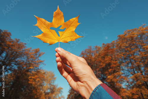 Print op canvas Autumn leaf with a cut in the form of an airplane on a background of the sky