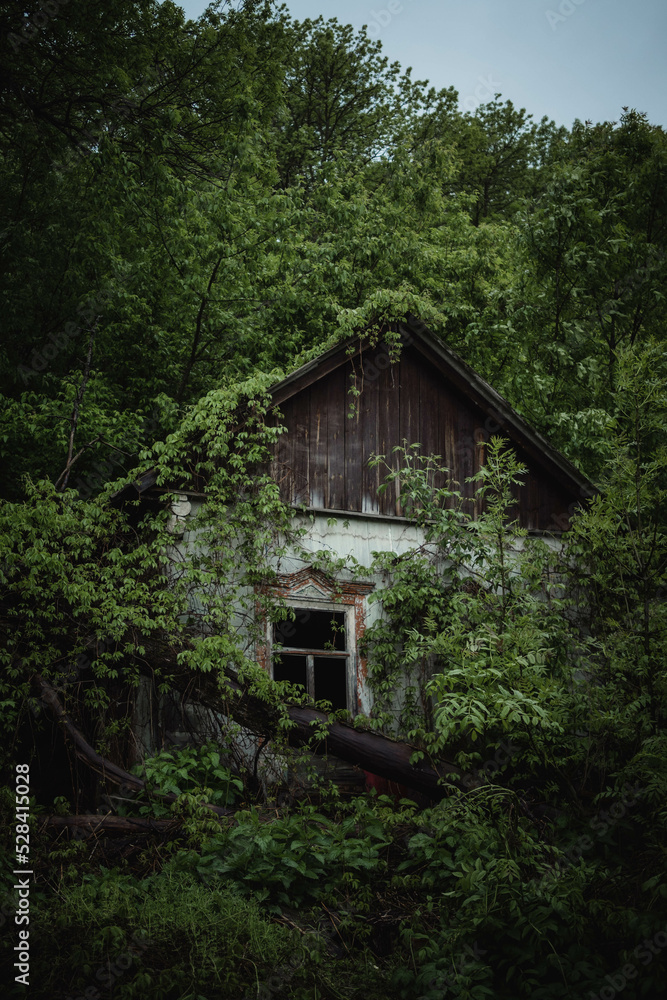 an old abandoned house that is gradually overgrown and destroyed by nature and covered with trees and shrubs. an old abandoned house that is gradually overgrown and destroyed by nature and covered with trees and shrubs.