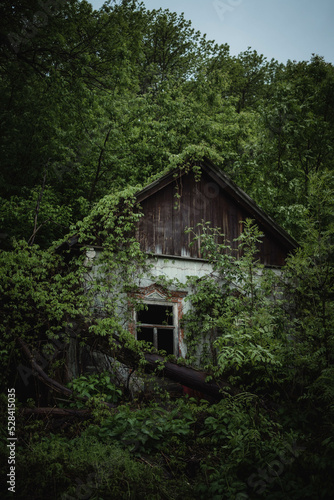 an old abandoned house that is gradually overgrown and destroyed by nature and covered with trees and shrubs.