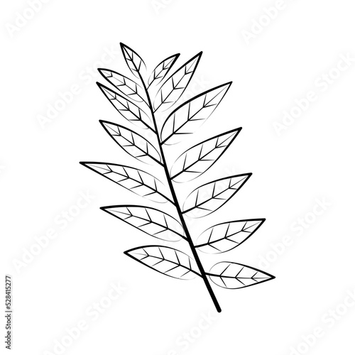 Black line icon for Curry leaf © priyanka