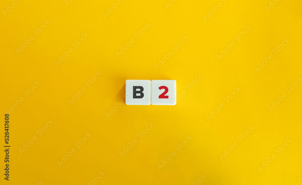 B2 Vitamin (Riboflavin). Block Letter Tiles on Yellow Background. Minimal Aesthetics. B2 Vitamin (Riboflavin). Block Letter Tiles on Yellow Background. Minimal Aesthetics.