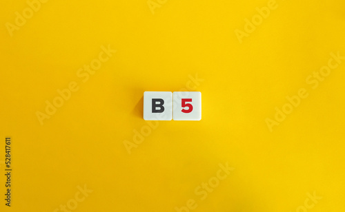 B5 Vitamin (Pantothenic acid). Block Letter Tiles on Yellow Background. Minimal Aesthetics. photo