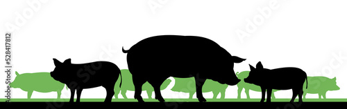 Pigs graze in pasture. Picture silhouette. Farm pets. Animals for meat and fat. Isolated on white background. Vector