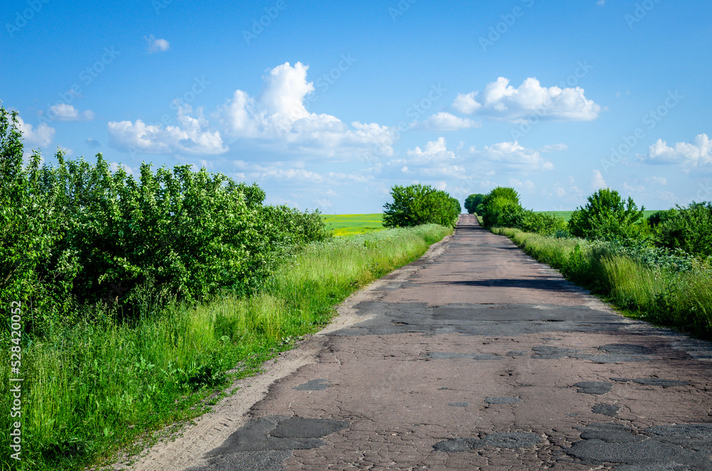 Asphalt road in the countryside on a summer day.