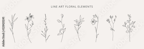 Wild flowers hand drawn. Collection of flowering plants, herbs, branches in line art style isolated on white background. Botanical vector illustration. 
