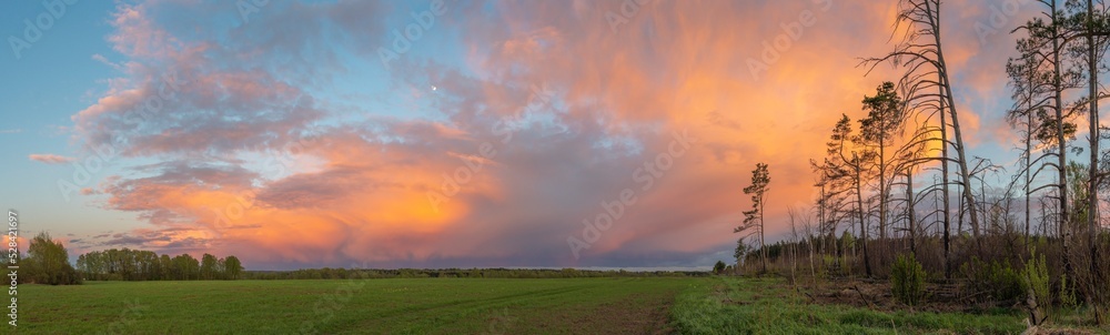 Naklejka premium Wide angle panorama view of dramatic sunset sky over summer field and forest