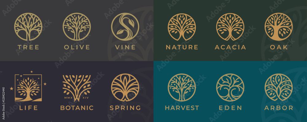 Abstract Tree of life logo icons set. Botanic plant nature symbols. Tree branch with leaves signs. Natural design elements emblem collection. Vector illustration. - obrazy, fototapety, plakaty 