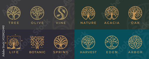 Fotografering Abstract Tree of life logo icons set