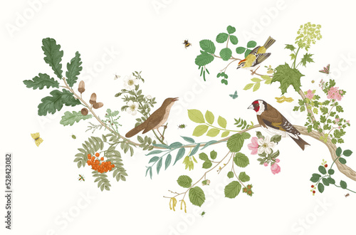 Garden Birds. Branch. Vector vintage illustration.
