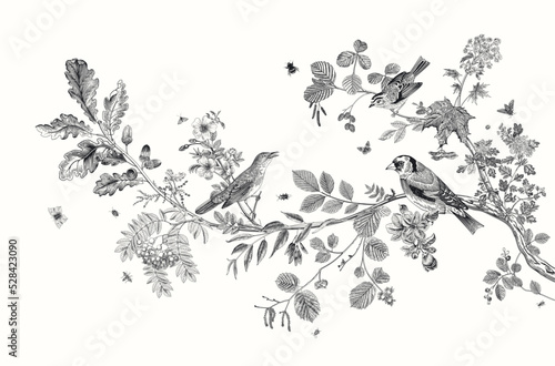 Garden Birds. Branch. Vector vintage illustration. Black and white