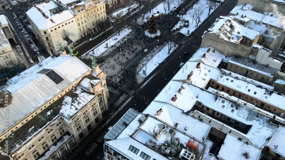 overhead view of Lviv christmas tree overhead view of Lviv christmas tree