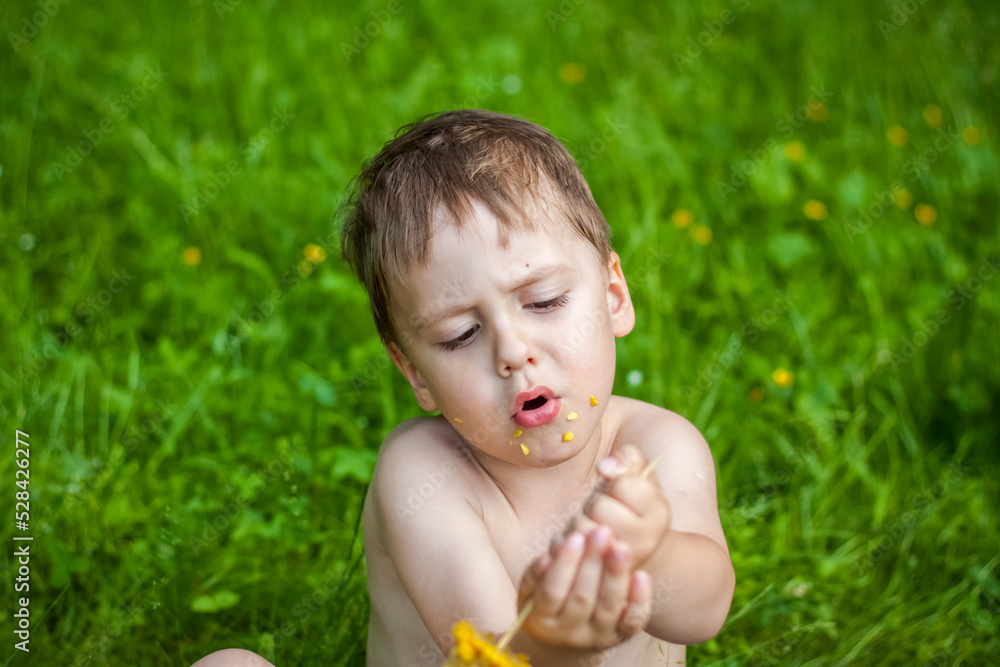A cute blond boy appetizingly eats corn in the summer, sitting on the bank of the river on the juicy grass. Funny facial expression. A cute blond boy appetizingly eats corn in the summer, sitting on the bank of the river on the juicy grass. Funny facial expression.