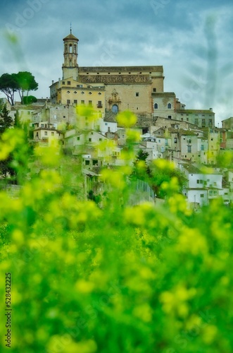 Vertical view of the Spanish town Cehegin's architecture from behind vegetation photo