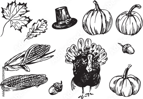 Set of hand drawn thanksgiving day sketches. Vector illustration.