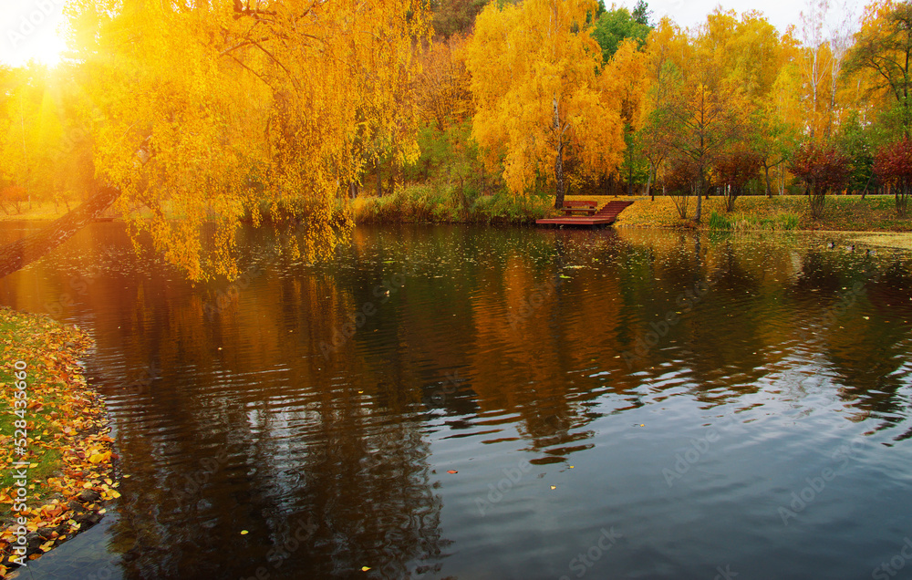 Obraz premium Autumn landscape with lake, green grass and colourful trees