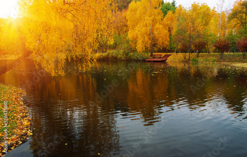 Autumn landscape with lake, green grass and colourful trees