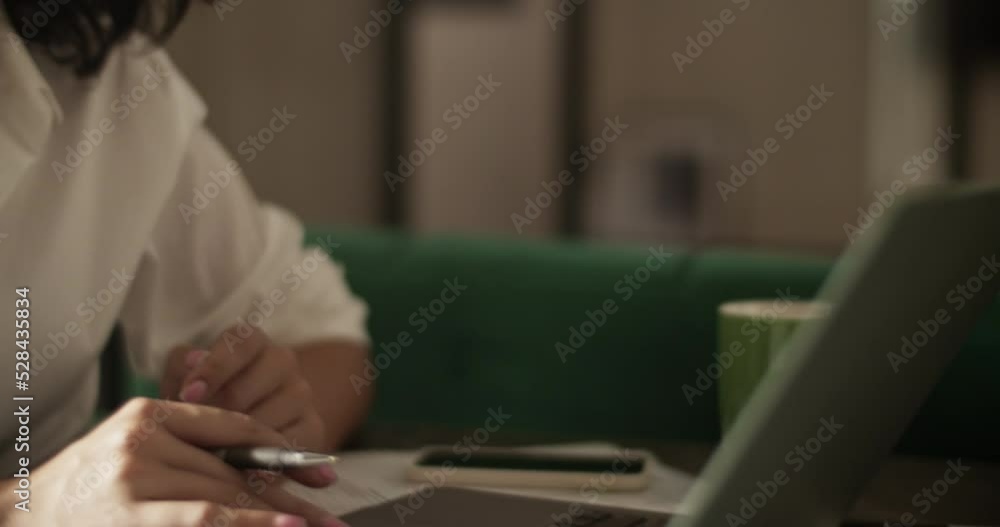 Female entrepreneur during virtual meeting