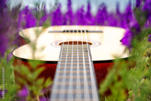 Acoustic guitar in a flower field