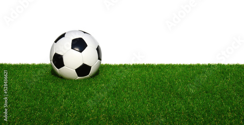 Soccer ball on grass isolated on white © Alekss