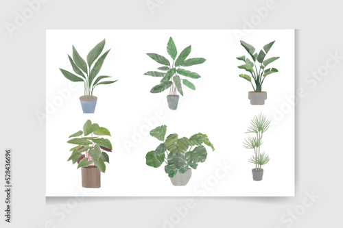 Set of watercolor houseplants: monstera, sansevieria, cactus, ficus. Botanical home garden. Natural collection of plants. Hand painted urban jungle. Trendy home decor with plants 