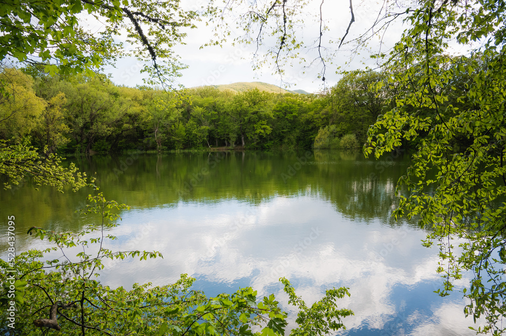 Quiet lake in the spring forest