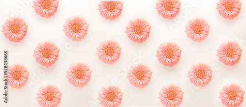 Gerbera flower pattern background.