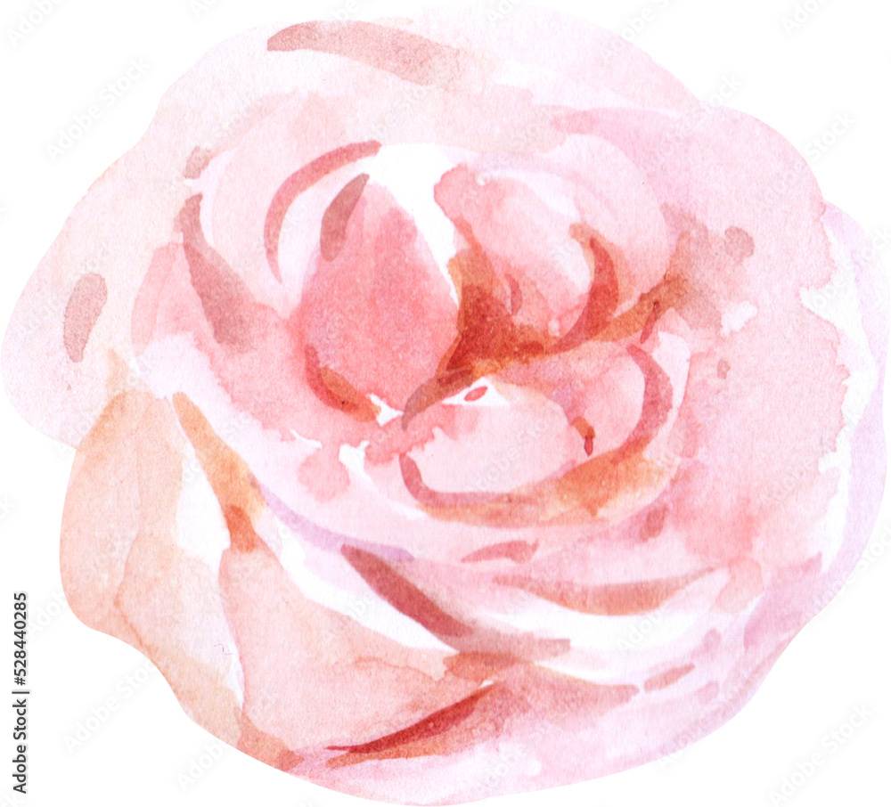 rose with watercolor painting PNG file rose with watercolor painting PNG file