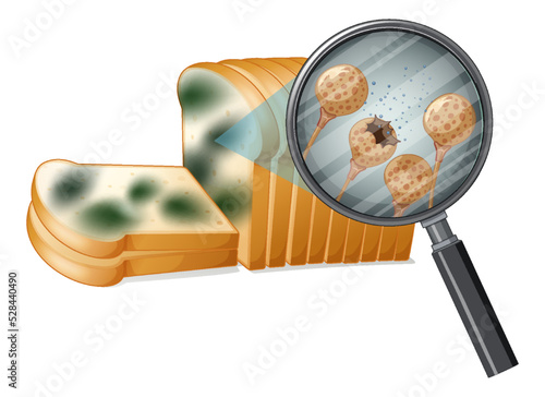 Inedible bread with mould