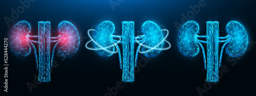 Polygonal vector illustration of inflamed diseased kidney, healthy kidney, and recovery of kidney functions on a dark blue background. Urology or nephrology medical banner, template or background.