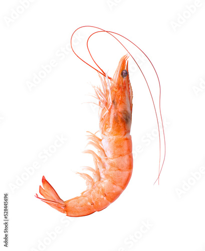Shrimps isolated on alpha layer png