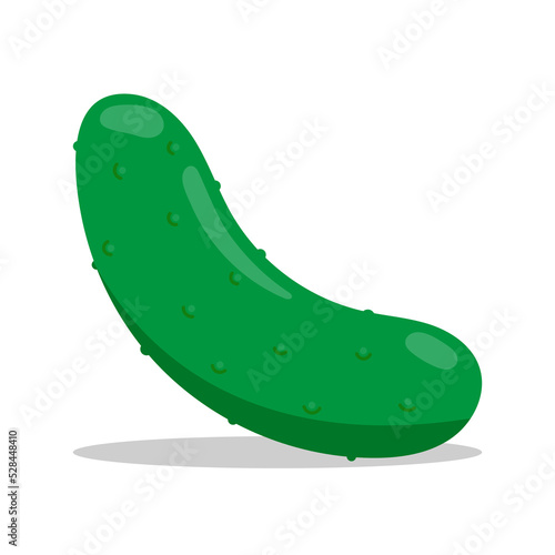 Vector illustration of a cucumber