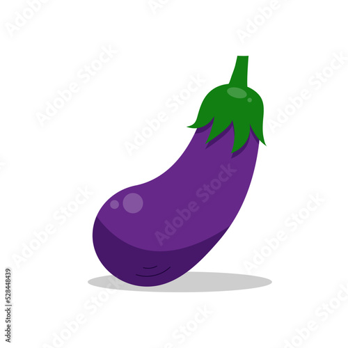 Vector illustration of a eggplant