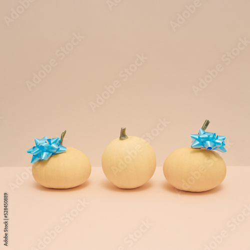 Three little pumpkins with bright blue ribbons on pastel beige background. Aesthetic Thanksgiving or Halloween composition in a minimalist style, trendy colors.