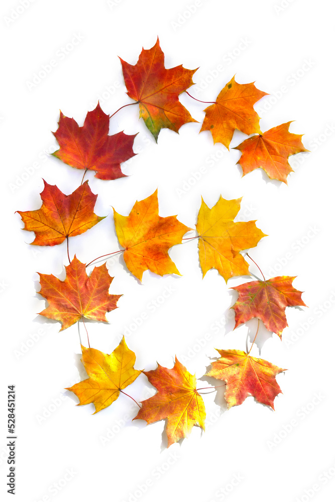 Number 6 from of colorful autumnal maple leaves on white background. Top view, flat lay Number 6 from of colorful autumnal maple leaves on white background. Top view, flat lay