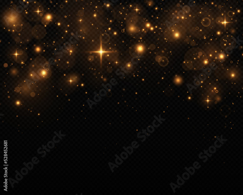 Sparkling magical dust particles. The dust sparks and golden stars shine with special light on a black background. Christmas concept. © FlammaChe