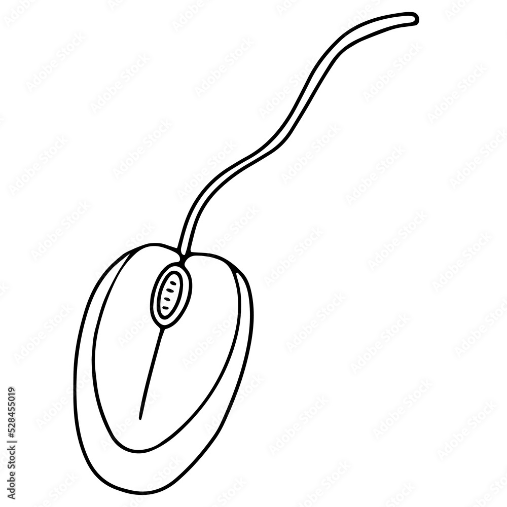 Doodle vector icon of a computer mouse Doodle vector icon of a computer mouse