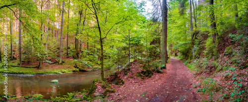 Panoramic view over magical enchanted fairytale forest with moss, lichen, fern and river at the hiking trail Malerweg, Polenztal part in the national park Saxon Switzerland, Saxony, Germany photo