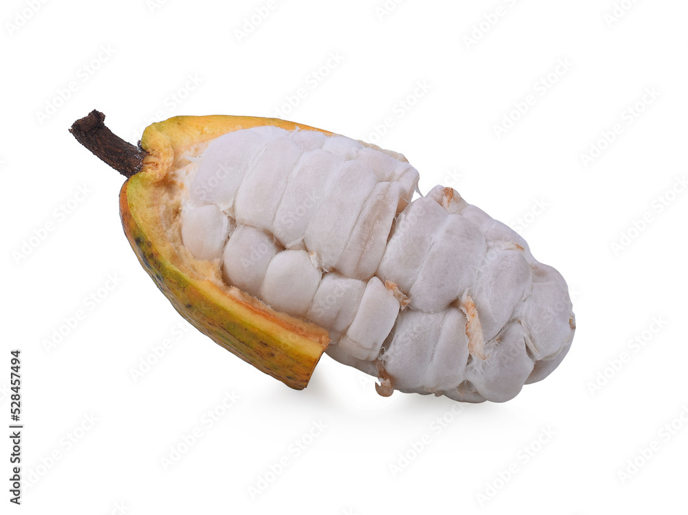 Red fresh Cocoa pods with dried beans isolated on white background. Red fresh Cocoa pods with dried beans isolated on white background.