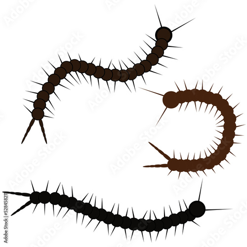 Set of scalapendra. Scary vector illustration.