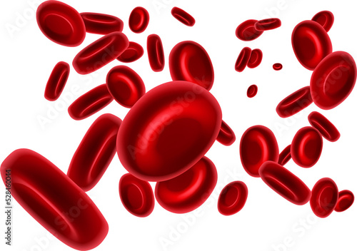 Red Blood Cells