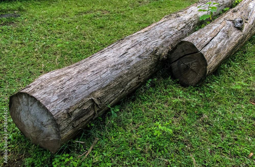 Closeup shot of woodtrunk on a grass surface. Closeup shot of woodtrunk on a grass surface.