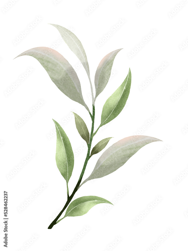 Fototapeta premium Watercolor light plain leaf