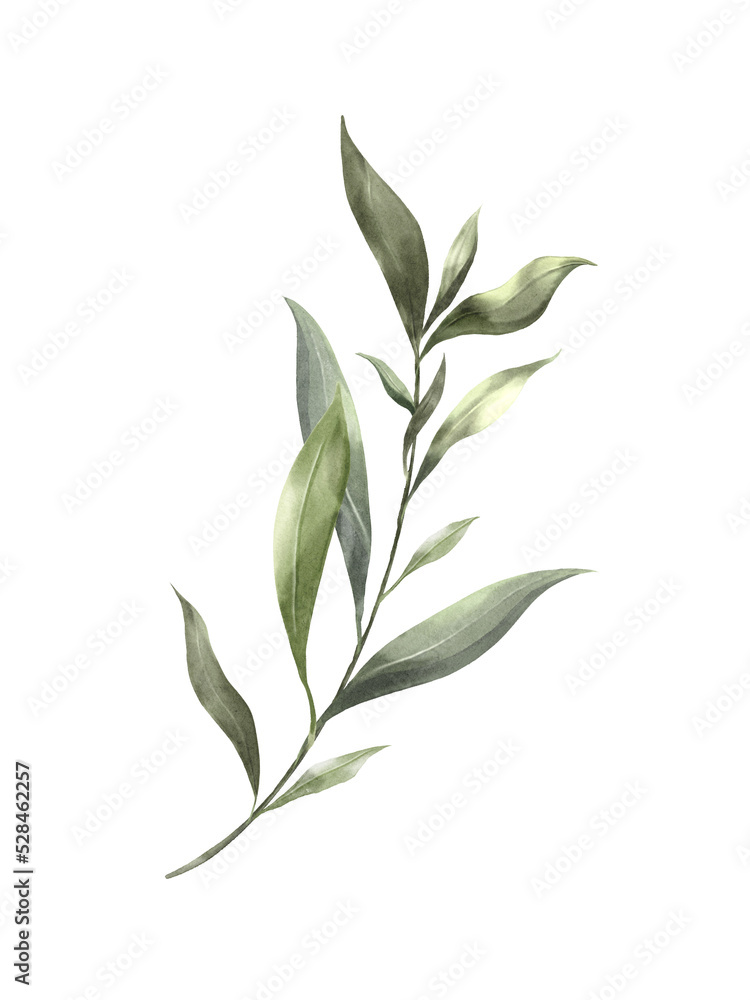 Dark leaf watercolor