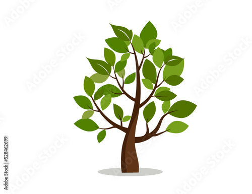 Tree icon. Nature, park. Vector image.